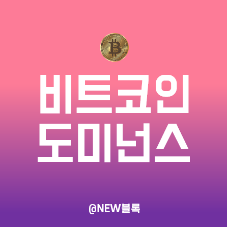  비트코인 도미넌스 뜻, 차트 확인 및 활용법, 가격과의 상관관계