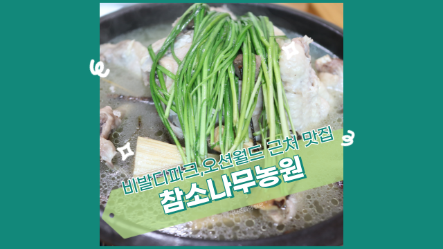  홍천 비발디파크 근처 식당, 참소나무농원에서 토종닭 백숙 제대로 뜯고 온 후기