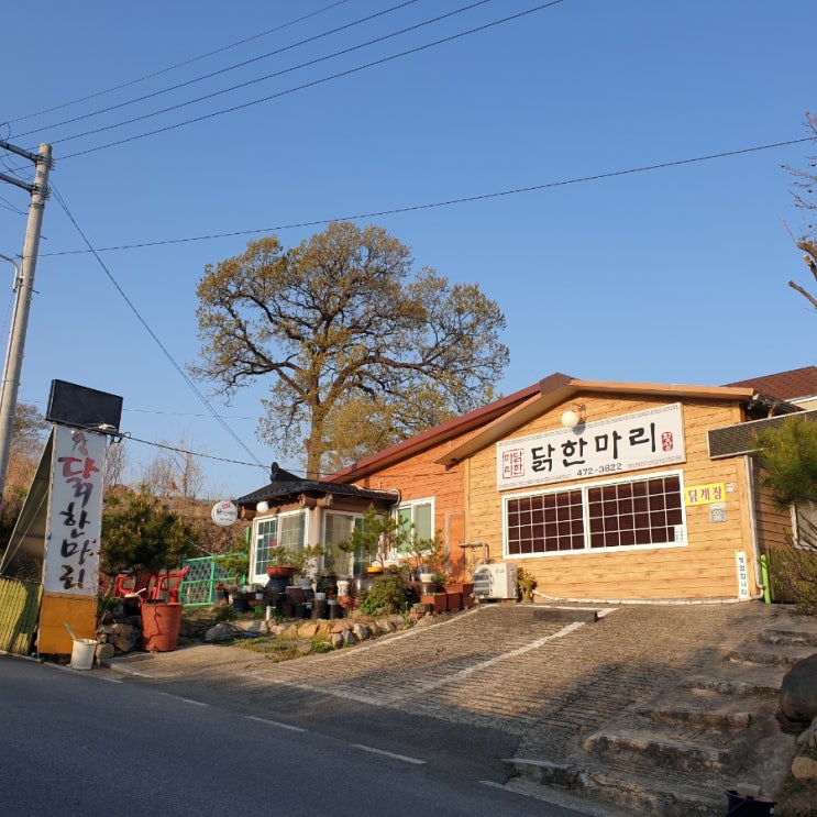  구미 황상 닭한마리