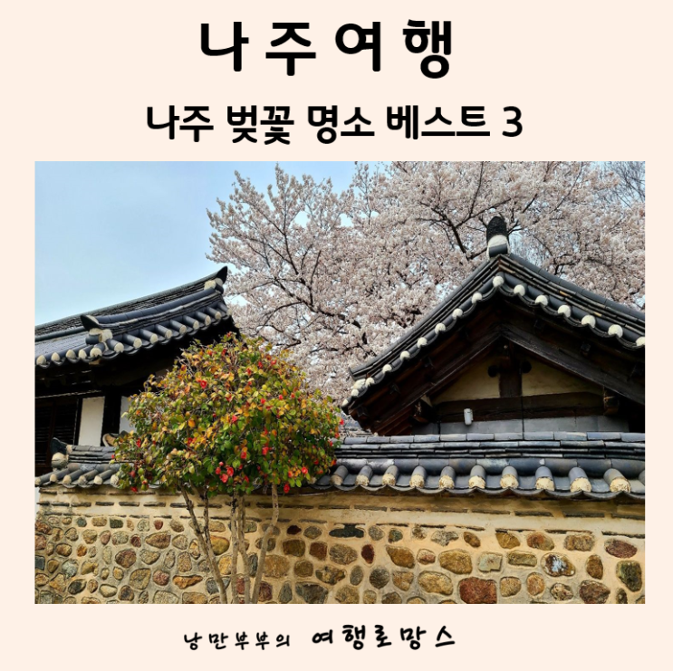  2022년 나주벚꽃개화시기 ::나주벚꽃명소(한수제벚꽃,나주목사내아벚꽃,영산포 만봉천벚꽃)