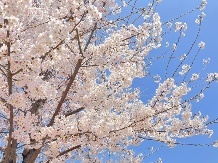  2022.04.08. 신동수변공원 산책