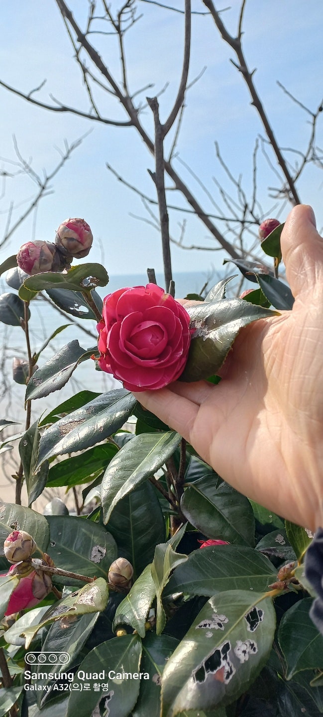  전북 드라이브 코스 부안 곰소 채석강 변산 해수욕장 새만금 방조제 군산 익산으로