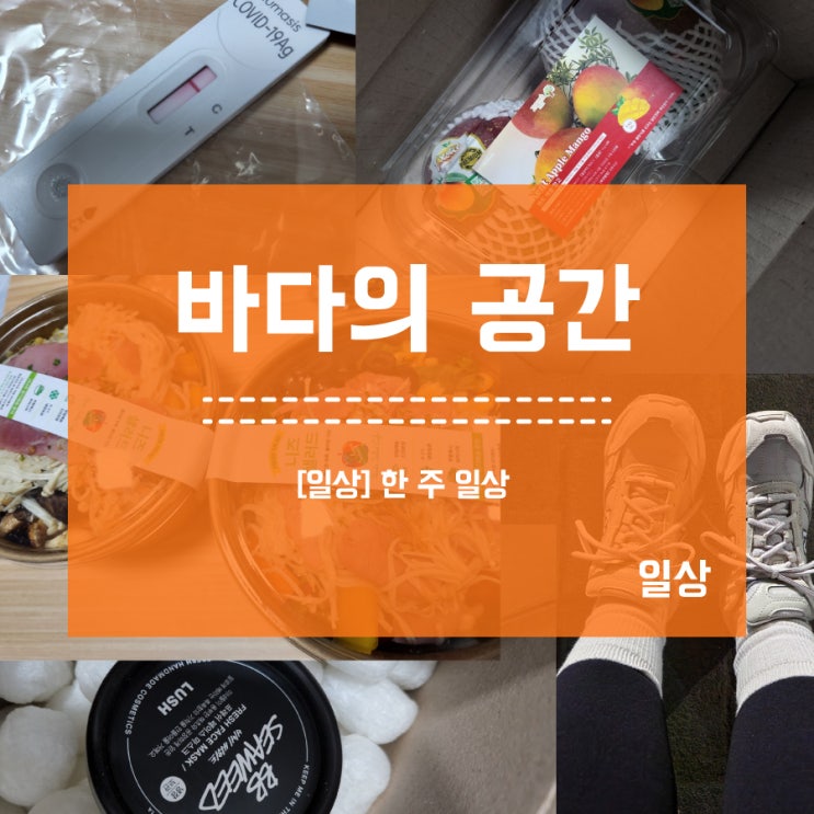  [일상] 감기로 골골 맛있는 과일 많이먹기!!