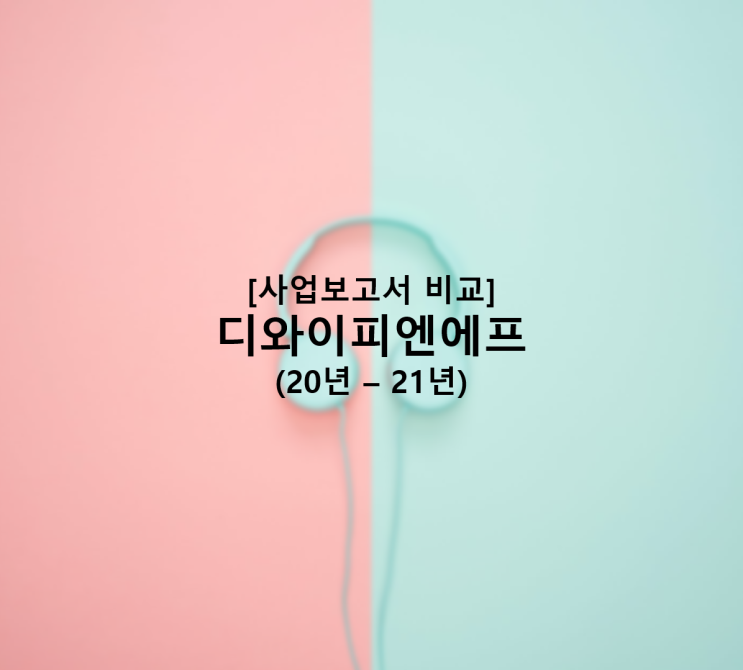  [사업보고서 비교] 디와이피엔에프 (ft. 20년 – 21년 비교해보기!)