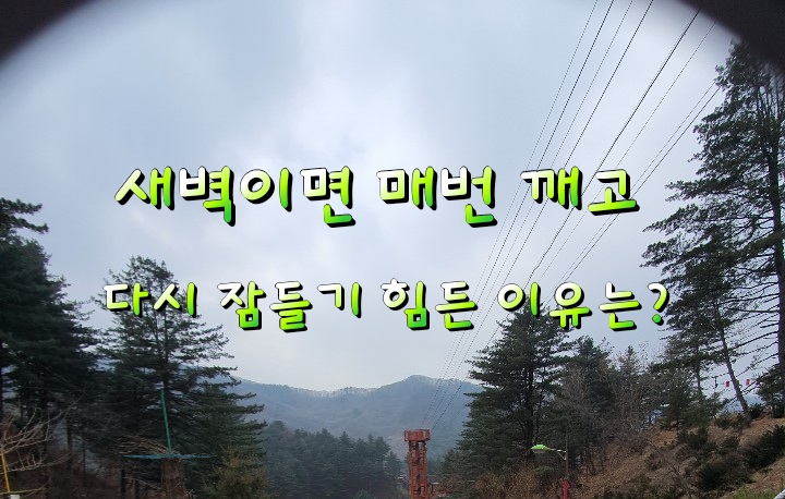 새벽이면 매번 깨고 다시 잠들기 힘든 이유는? 새벽이면 매번 깨고 다시 잠들기 힘든 이유는?