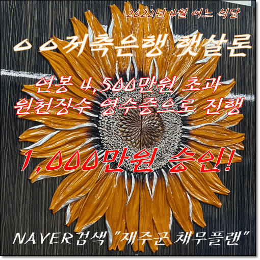  직장인 연봉초과자 원천징수영수증으로 햇살론 승인