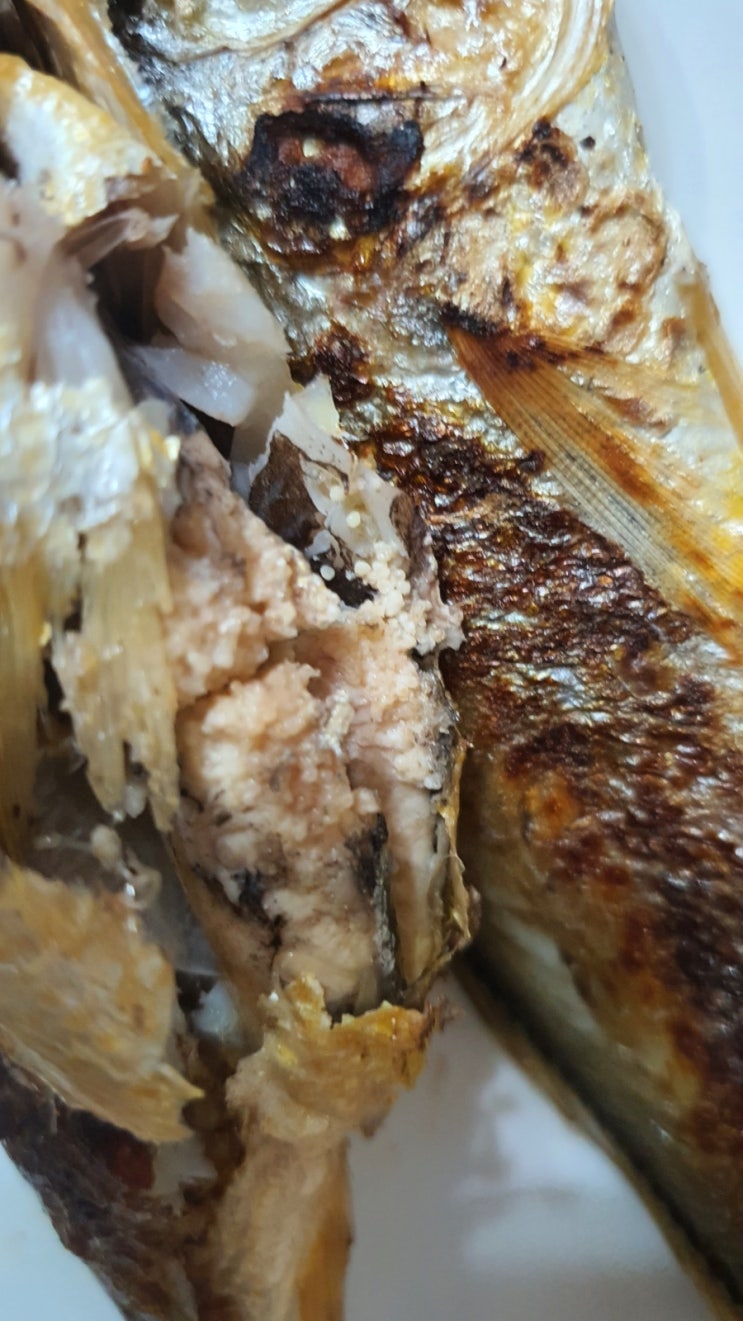  조구라의 닭볶음탕 레시피 그리고 알배기 조기구이 (우리 집이 맛집)