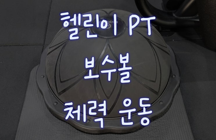  [헬린이#9] PT: 보수볼 활용한 체력 운동