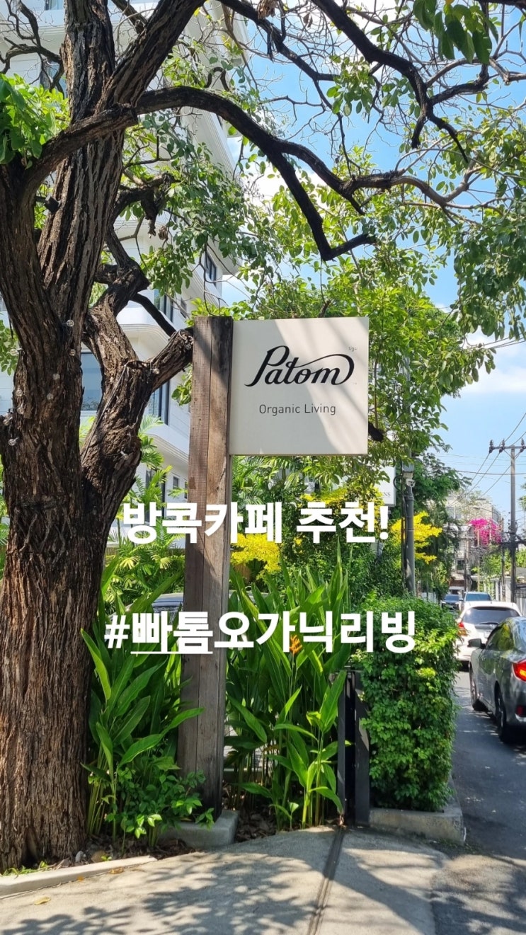  < #방콕카페추천 #통로카페추천> 꼭가봐야하는 방콕카페 빠톰 오가닉 리빙