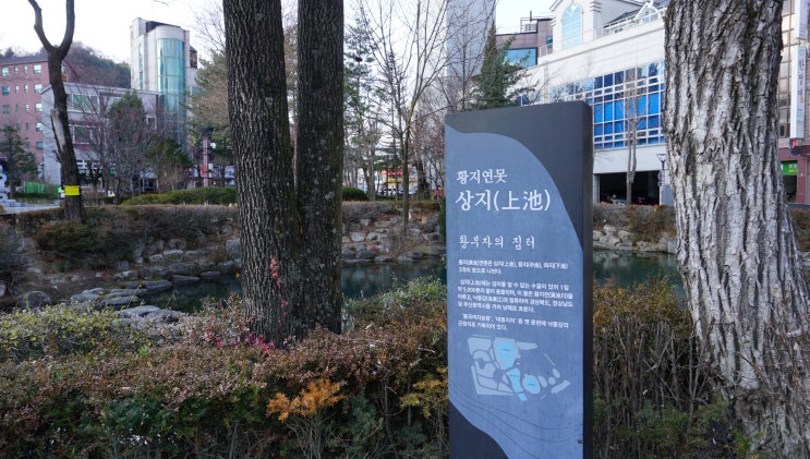  [2박 3일 강원도 뚜벅이 여행] 3일차 태백/황지연못