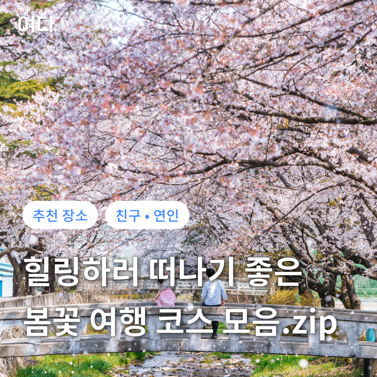  [추천 여행지] 봄꽃 여행 코스 모음