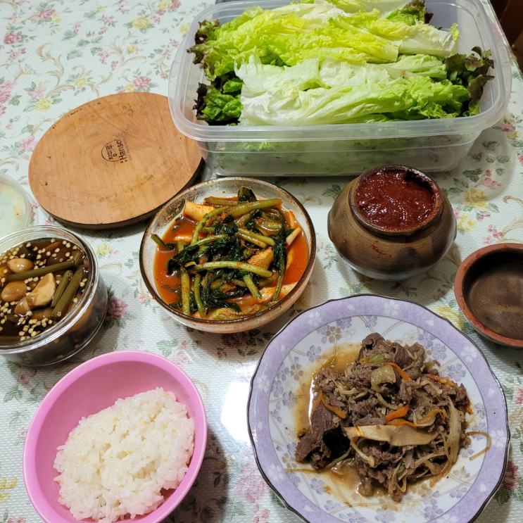  안산, 안양, 범계 맛집 술집 일상브이로그