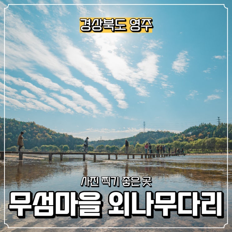  [경상북도] 영주 가볼 만한 곳, 무섬마을 외나무다리