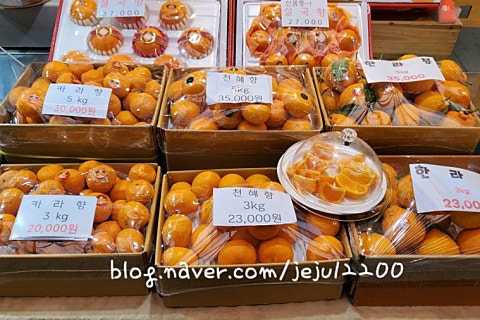 오늘청과2 이미지