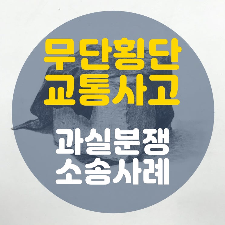  무단횡단 사망사고 과실분쟁 소송사례