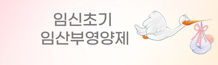  임신시기별 영양제(2)- 임신초기 조심 또 조심!임산부엽산복용시기