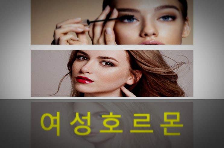 여성호르몬 에스트로겐 부족, 과다 증상, 음식, 영양제