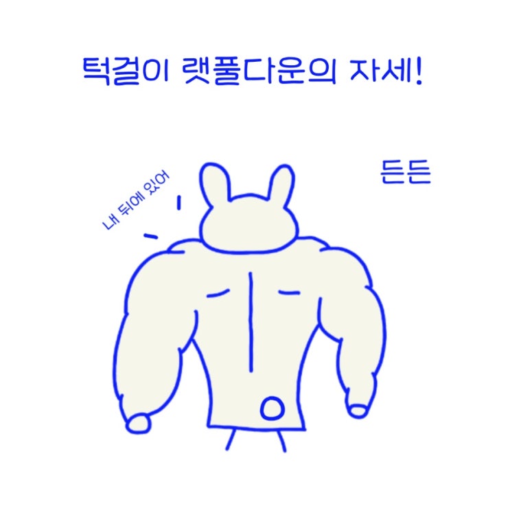  턱걸이 자세(풀업), 랫풀다운의 자세