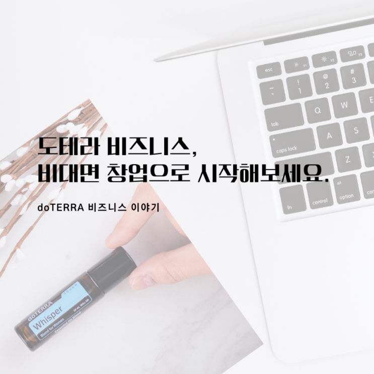  비대면 언텍트 시대의 창업, 도테라 아로마오일 비즈니스로 시작해보세요.