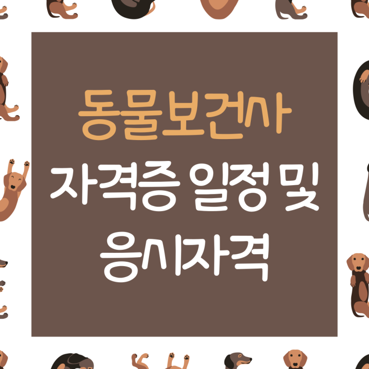  동물보건사 자격증 총정리!