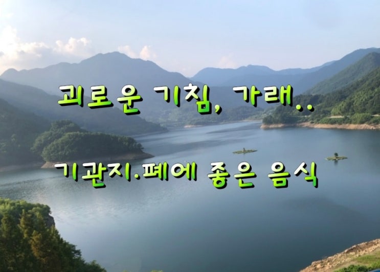 괴로운 기침, 가래.. 기관지·폐에 좋은 음식 괴로운 기침, 가래.. 기관지·폐에 좋은 음식