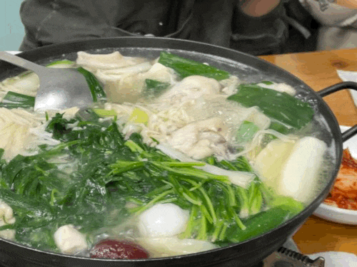  [성수] 닭한마리, 서울숲 맛집 | 이랑칼국수