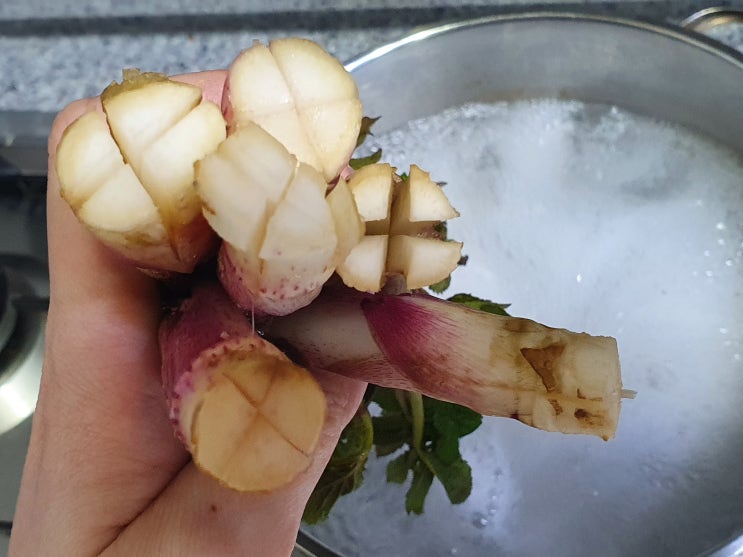  두릅 초록이 데치기 해봐요.