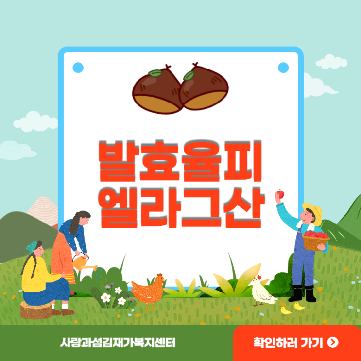 율피효능 발효율피 엘라그산 천연 에스트로겐 주목 율피효능 발효율피 엘라그산 천연 에스트로겐 주목