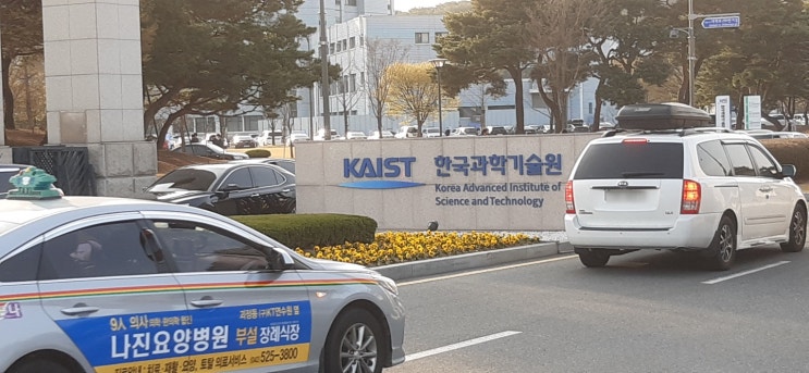  대전에서 유명한 벚꽃 명소 - 카이스트 벚꽃길