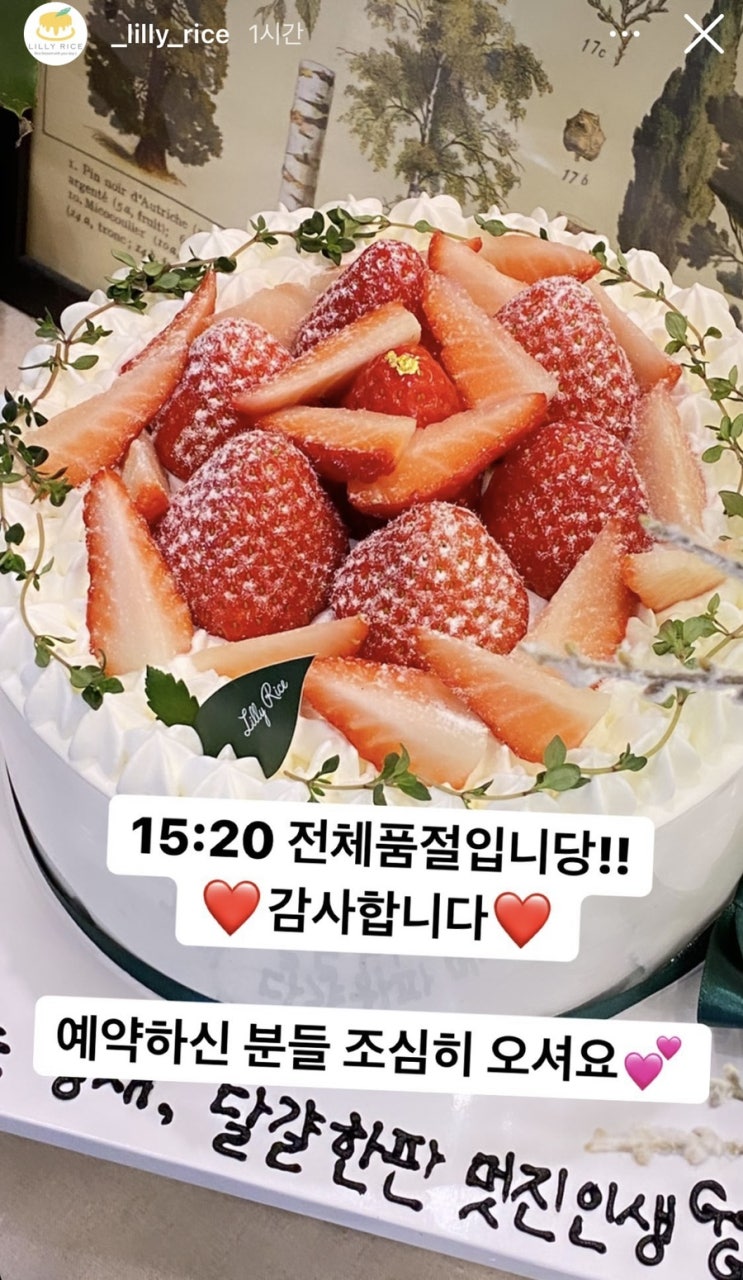  서울 딸기 케이크 맛집 - 쌀 케이크 전문 릴리라이스 (세 번째 포스팅 중), 가격 및 예약 방법