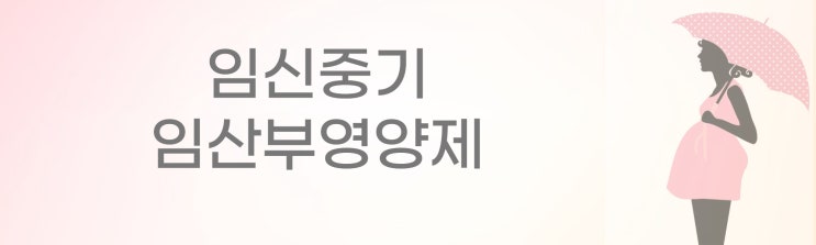  임신시기별 영양제(3)- 임신중기! 임산부 철분제 복용시기