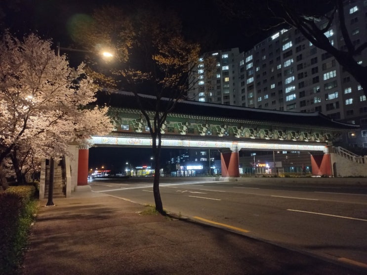  전주반월동 산책 꽃구경 (전주호남제일문,월드컵경기장 벚꽃구경)