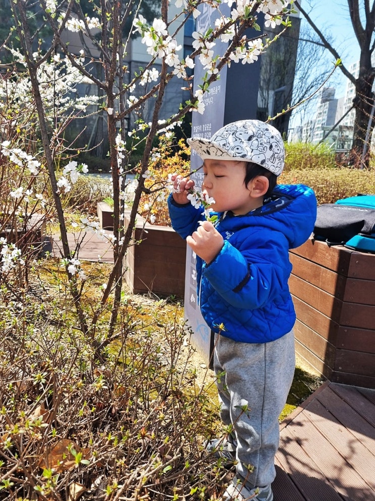  엄마 꽃이 너무 예뻐요~(축복씨가 그네를 타는 법)