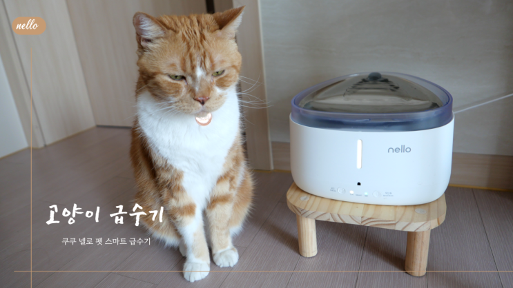  반려동물의 건강까지 생각한 고양이 자동 급수기, 쿠쿠 넬로 급수기