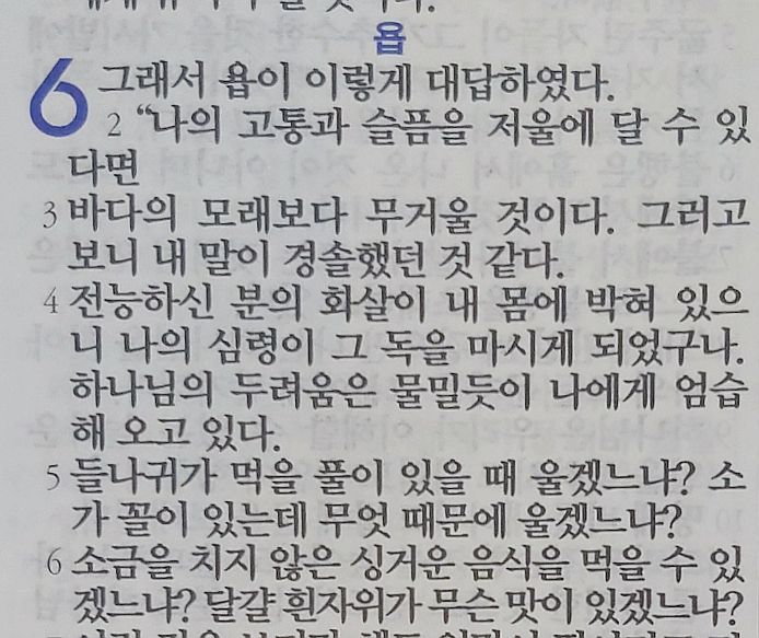 욥의 시련(욥기) 6장 욥의 시련(욥기) 6장