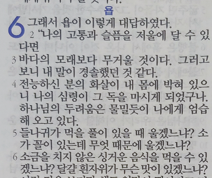 욥의 시련(욥기) 6장