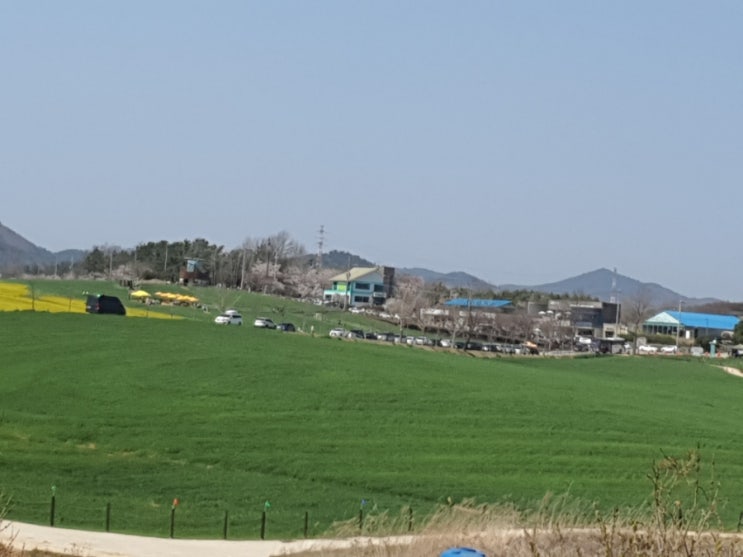 반굉일 지영때 반굉일 지영때