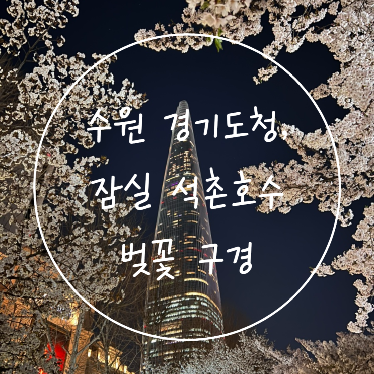  수원 경기도청 벚꽃과 잠실 석촌호수 벚꽃 비교