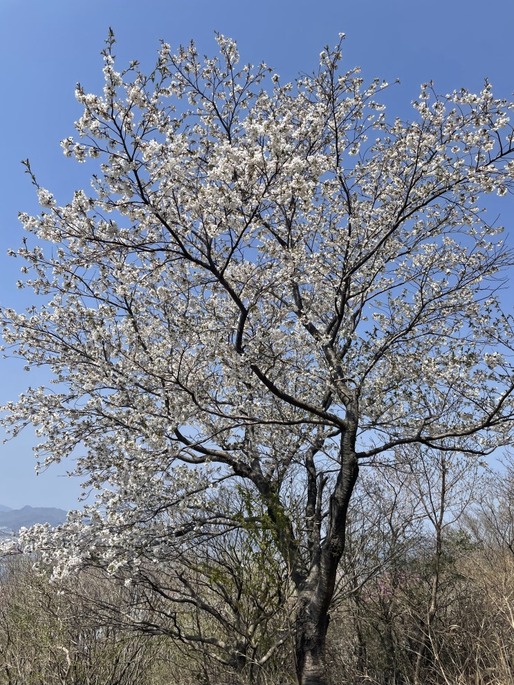  승학산 등산! 짜릿한 최단거리 코스