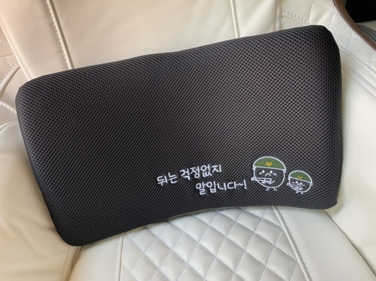  선물로 구입한 자동차쿠션 차량등받이 카이로스평생척추쿠션