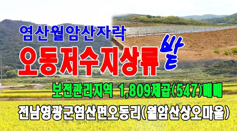 오동저수지 사진 1