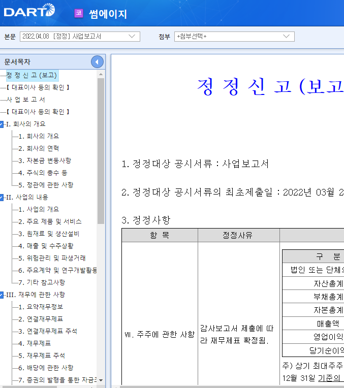 썸에이지 / 사업보고서 썸에이지 / 사업보고서