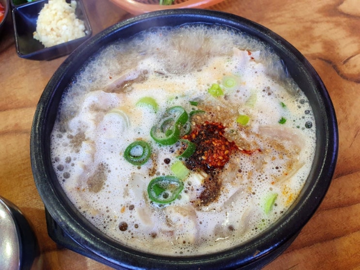  제주 함덕 내장탕 선지 해장국 맛집 함덕골목