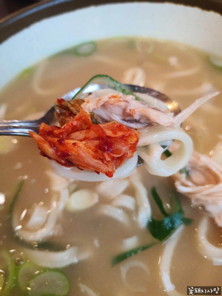  일산칼국수본점, 빈스얼랏 카페 후기