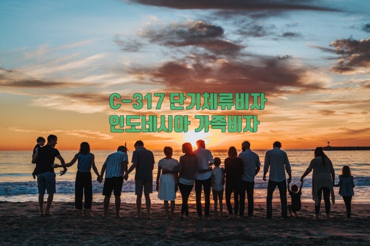  인도네시아 가족비자 C-317