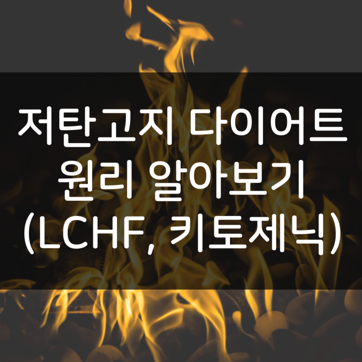  지방을 태우는 다이어트, 저탄고지 다이어트 원리를 알아보자 (LCHF, 키토제닉)
