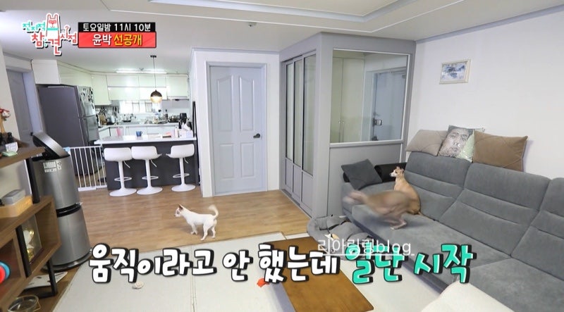 전참시 윤박 집 위치 아파트 나이 프로필 인스타 학력 차 자동차 ⭕️강아지 반려견 그레이....