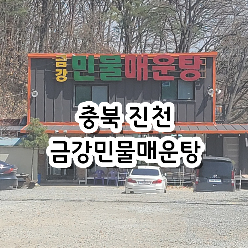  [리뷰] 충북 진천 금강민물매운탕