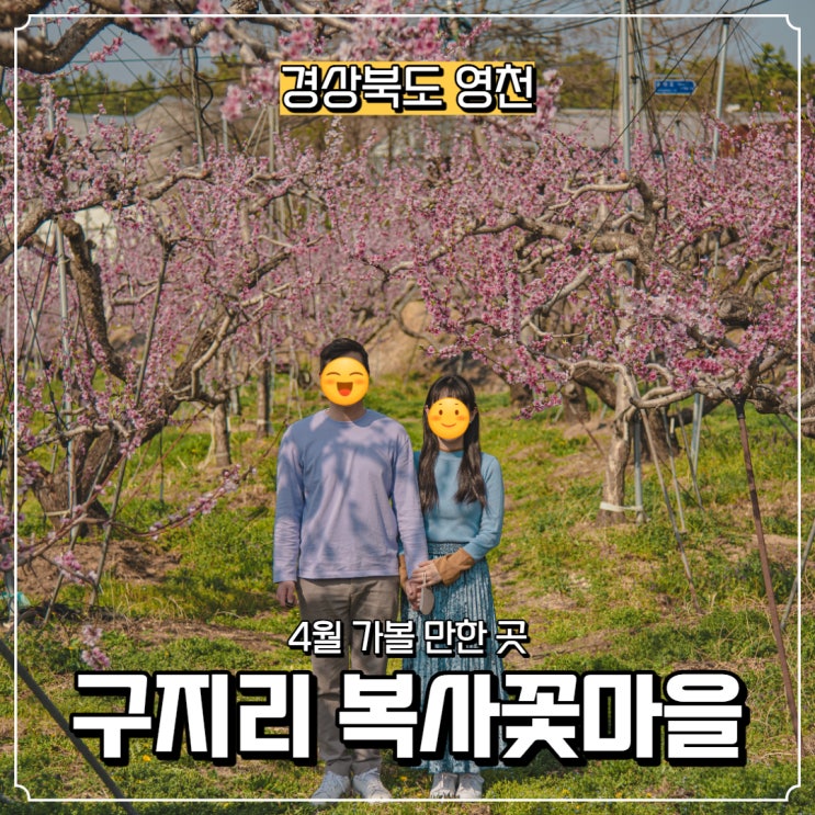  [경상북도] 영천 4월 가볼 만한 곳, 대창면 구지리 복사꽃