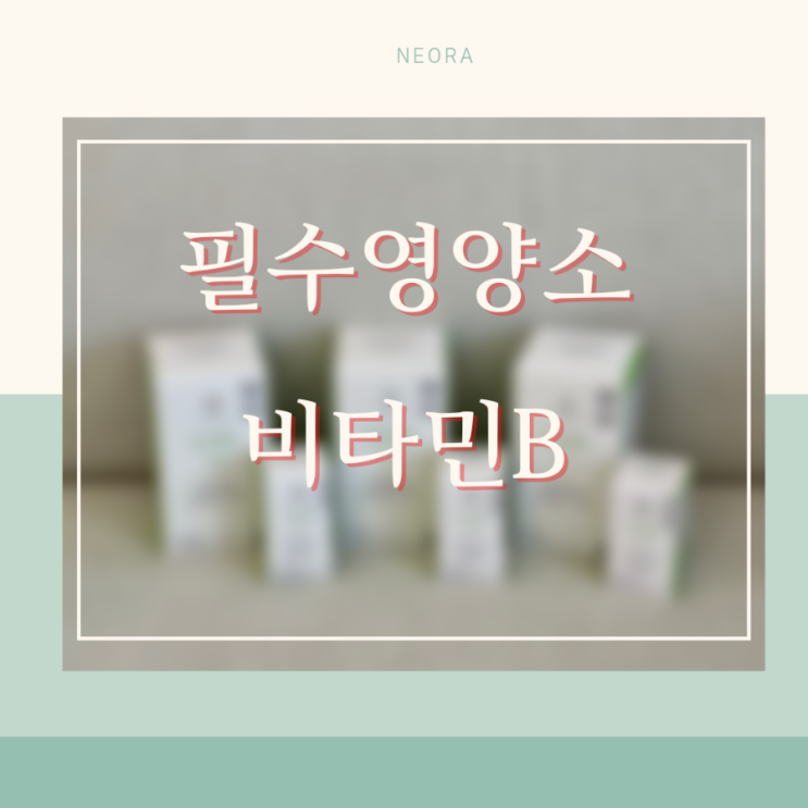  니오라 유스팩터-꼭 필요한 필수 영양제